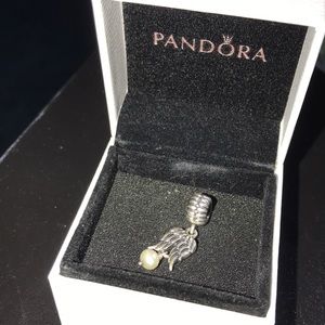 Pandora charm